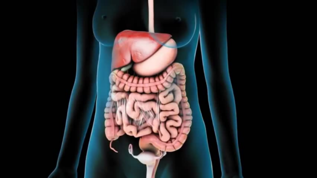Gastrointestinal Cerrahi
